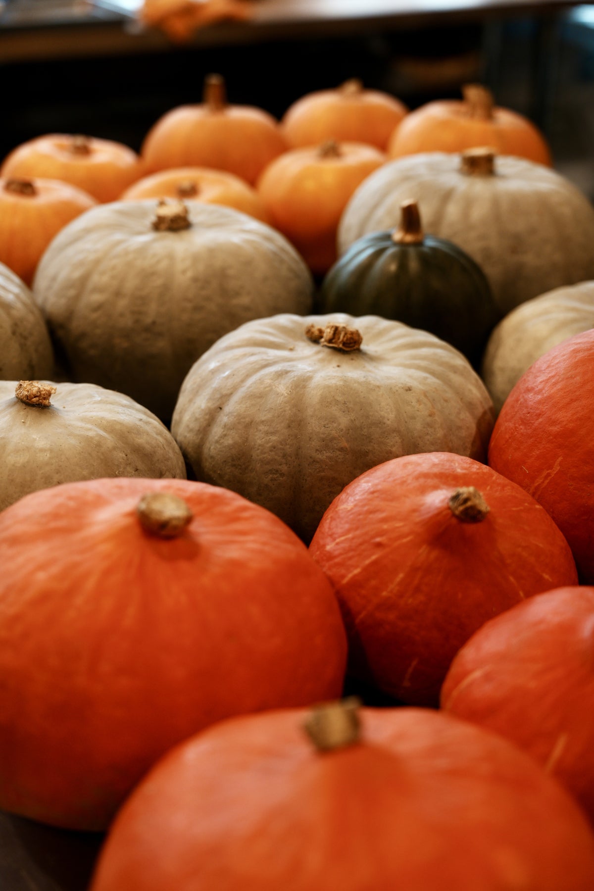 Triple Pumpkin Basque Cheesecake